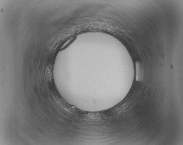 X0000053001491200507291629