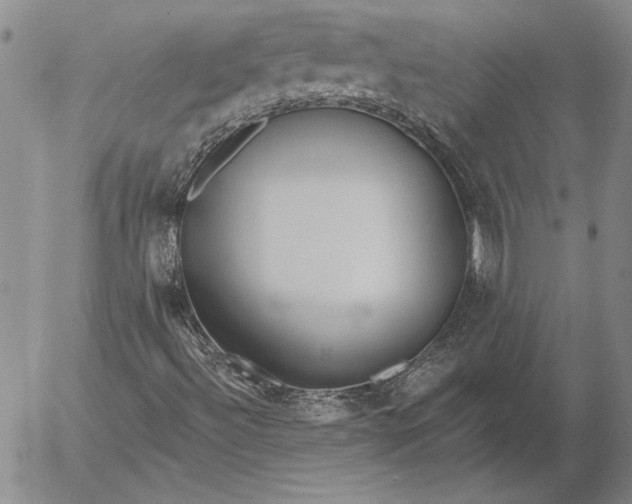 X0000053001492200507291629