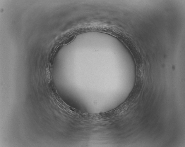 X0000053001493200507291629