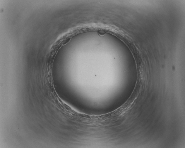 X0000053001494200507291629