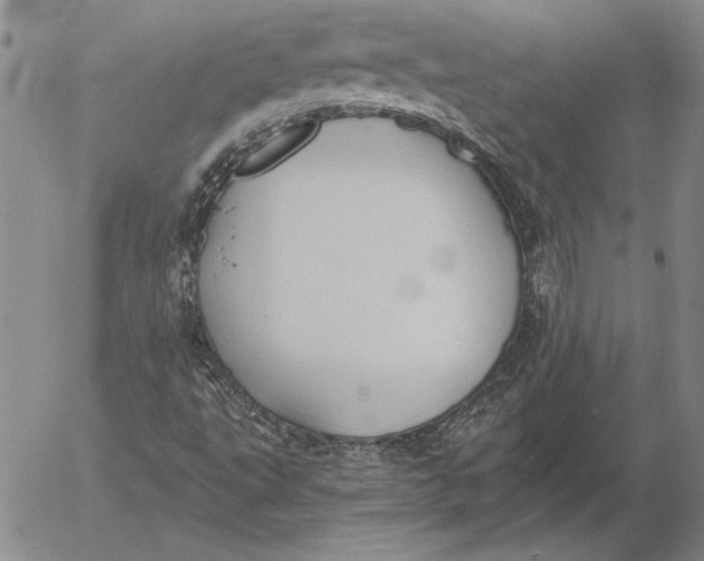 X0000053001495200507291629