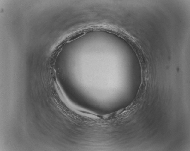 X0000053001496200507291629