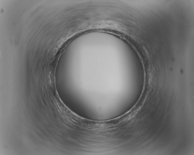 X0000053001497200507291629