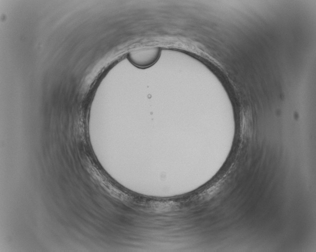 X0000053001498200507291629