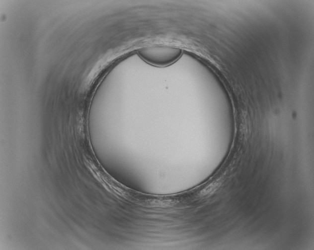 X0000053001499200507291629