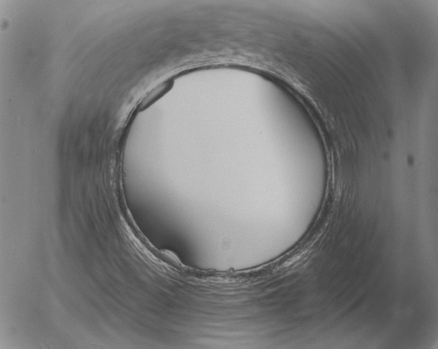 X0000053001500200507291629