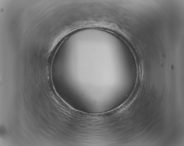 X0000053001501200507291629