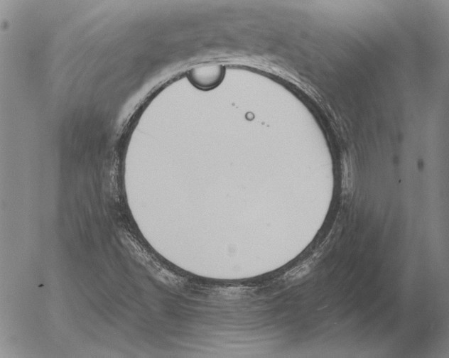 X0000053001502200507291629