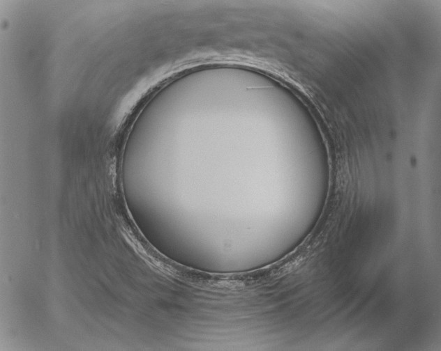 X0000053001503200507291629