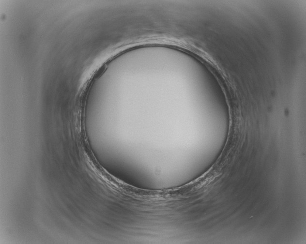 X0000053001504200507291629