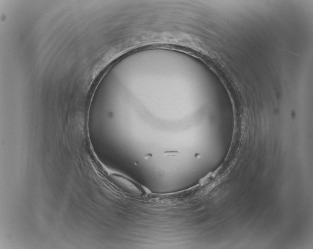 X0000053001505200507291629