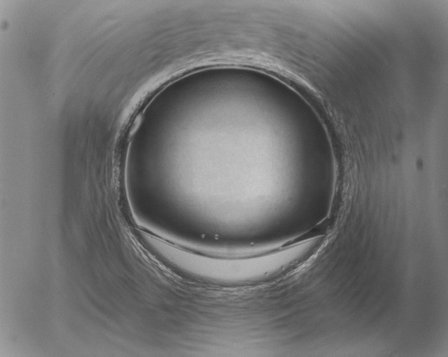 X0000053001506200507291629