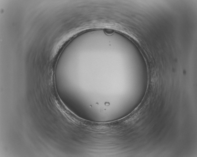 X0000053001507200507291629