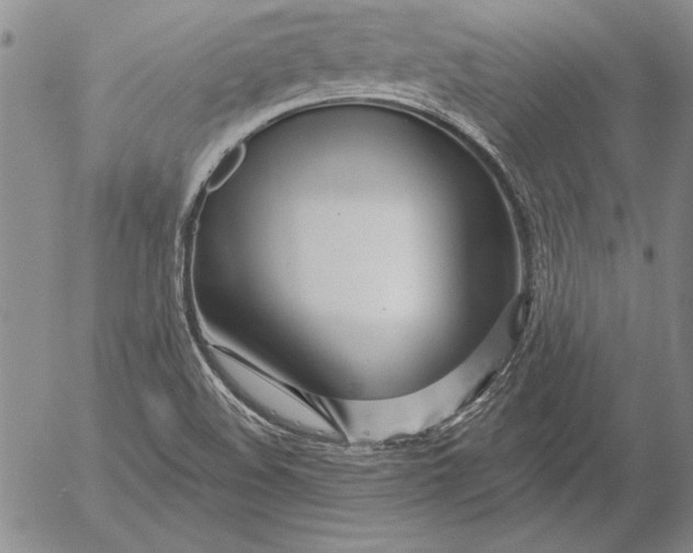 X0000053001508200507291629