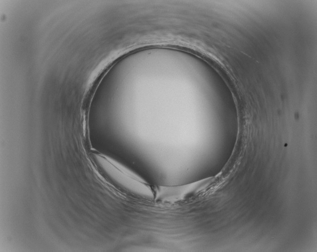 X0000053001509200507291629