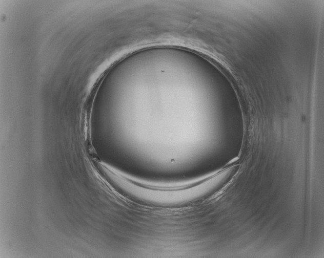 X0000053001510200507291629