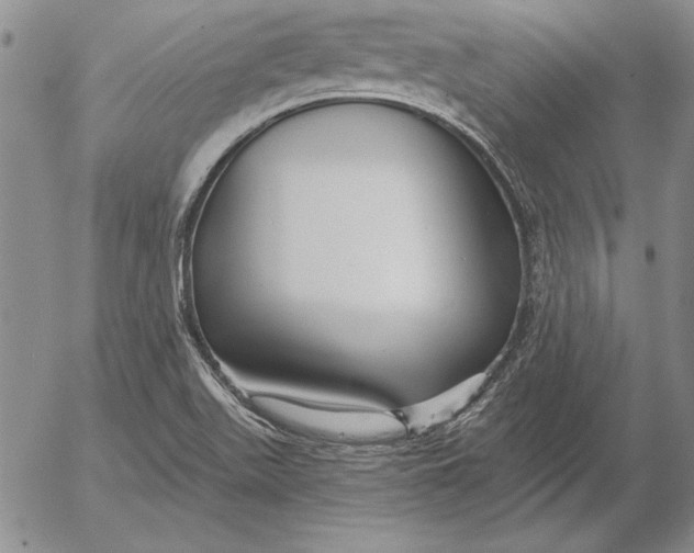 X0000053001511200507291629