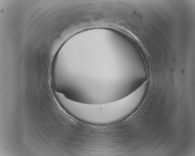 X0000053001512200507291629