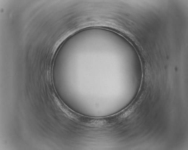 X0000053001513200507291629