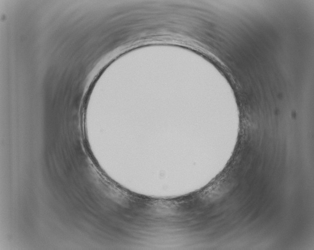 X0000053001514200507291629