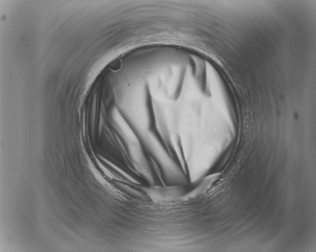 X0000053001515200507291629