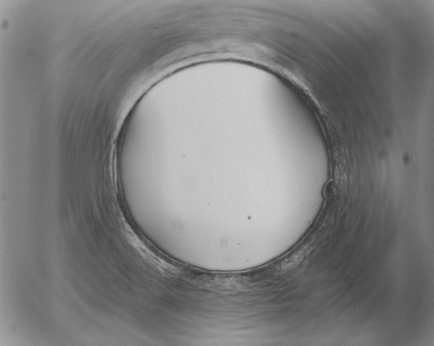 X0000053001516200507291629