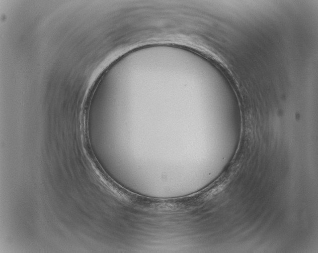 X0000053001517200507291629