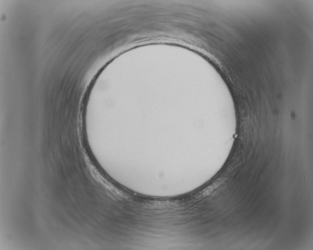 X0000053001518200507291629