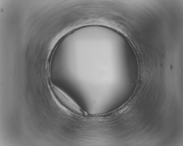 X0000053001519200507291629