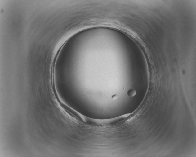 X0000053001520200507291629