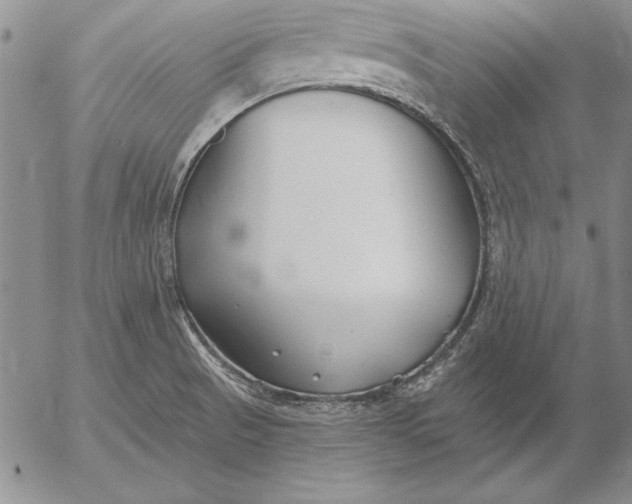 X0000053001521200507291629