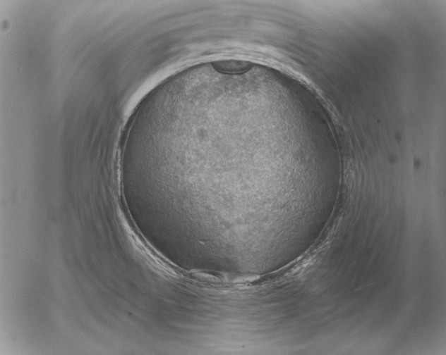 X0000053001522200507291629