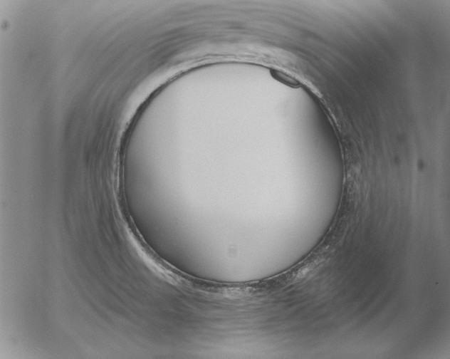 X0000053001523200507291629