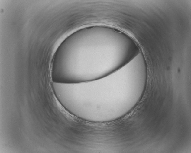 X0000053001524200507291629