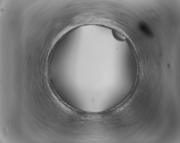 X0000053001525200507291629