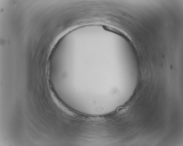 X0000053001526200507291629