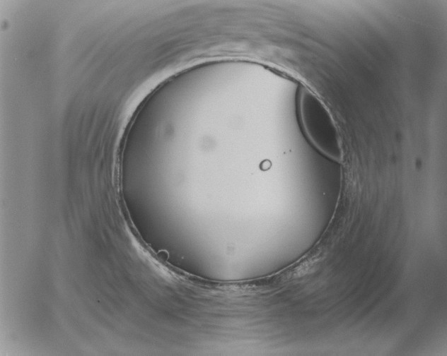 X0000053001527200507291629