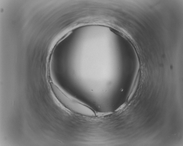 X0000053001528200507291629