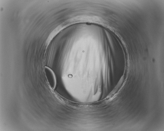 X0000053001529200507291629