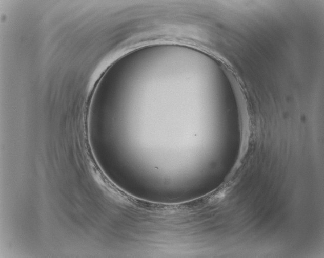 X0000053001530200507291629