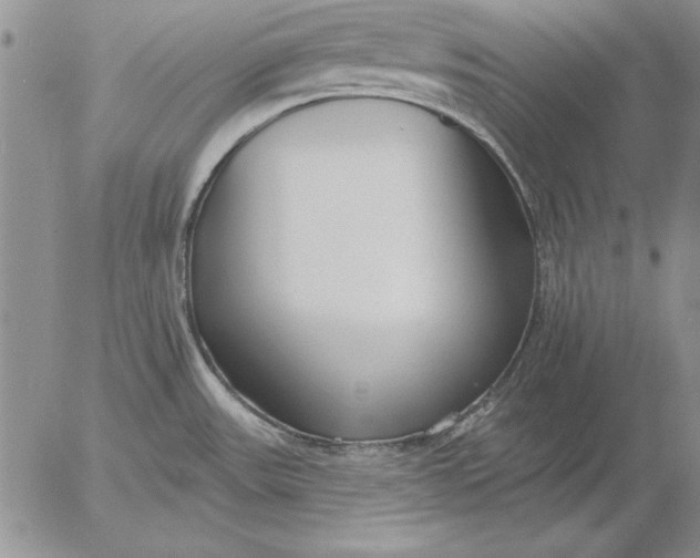 X0000053001531200507291629