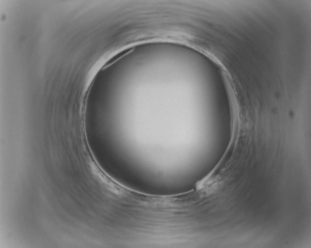 X0000053001532200507291629