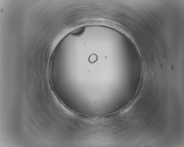 X0000053001533200507291629