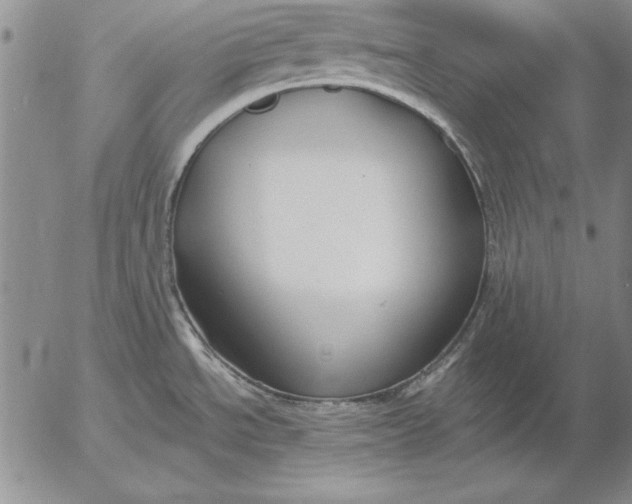 X0000053001534200507291629