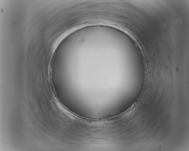 X0000053001535200507291629