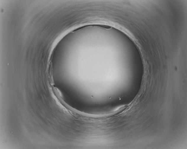 X0000053001536200507291629