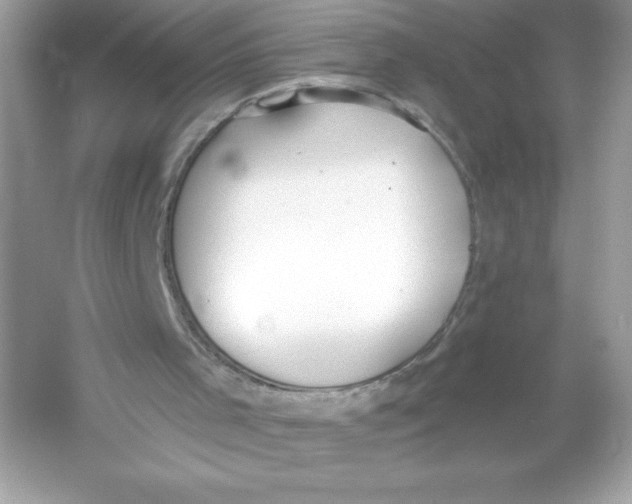 X0000053000001200508051146