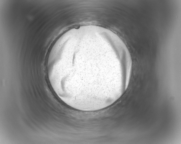 X0000053000002200508051146