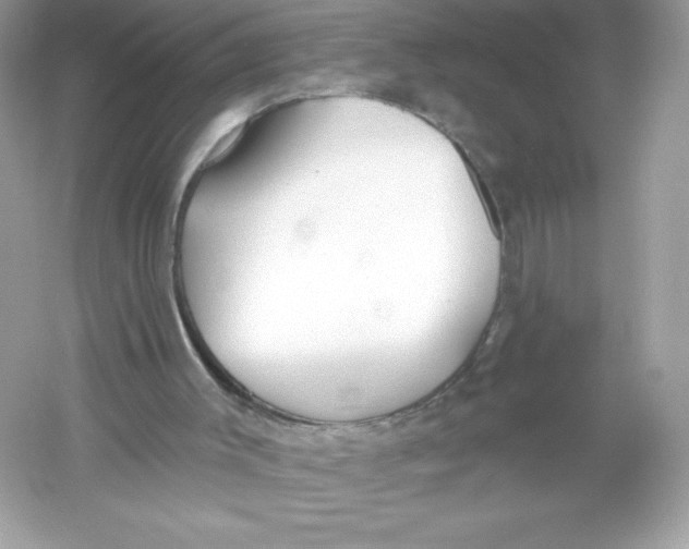 X0000053000003200508051146