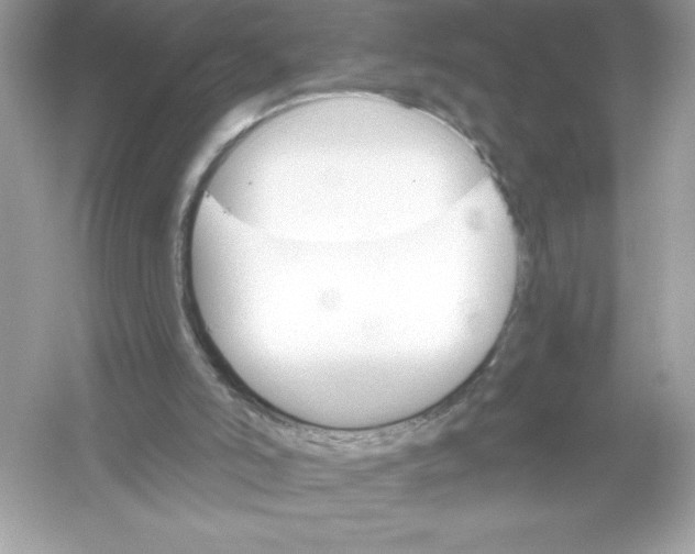 X0000053000006200508051146